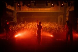 leonkl | photos & videos